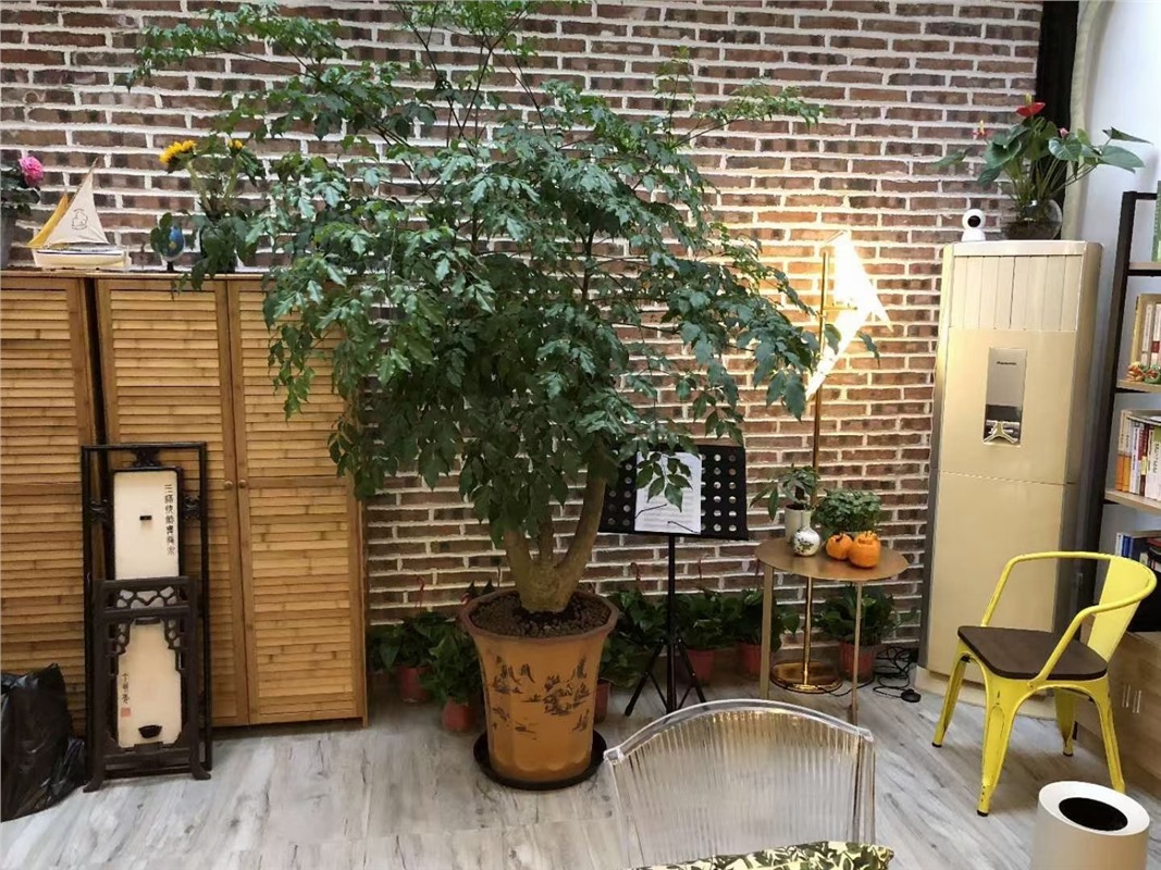 双井巷落地房1-3楼68平米268万 带整层大露台 不占名额