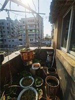 军装局11号砖结构落地房 独门独户 75.27平米 275万 小学不占 初中2028