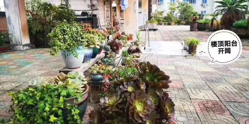 广府8楼 电梯直达 84平米 246万 带露台 不占名额